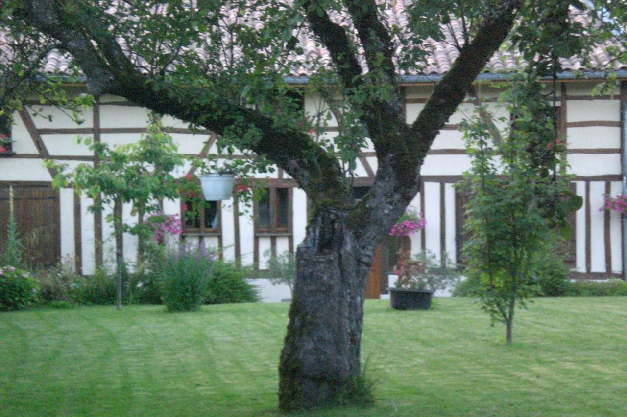 La maison du bûcheron Futeau Extérieur photo